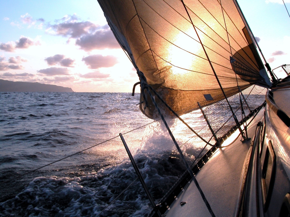 Marine Vinyl vs Standard Vinyl: Everything You Need to Know