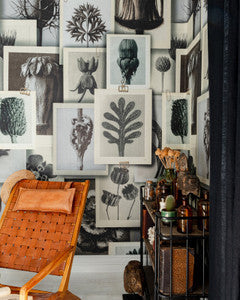 Mind the Gap Wallpaper Mind The Gap   BLOSSFELDT'S ART FORMS   (WP20595)