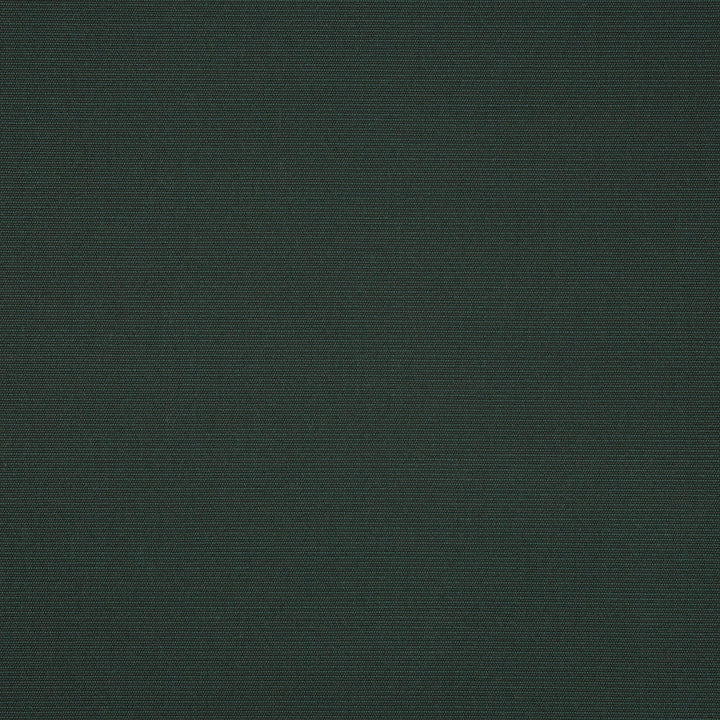 6032 Ivy by Sunbrella Designer Fabric Sunbrella Awning / Marine 60 in. Solids 100% Sunbrella® Acrylic USA or Imported 10-Year Horizontal: and Vertical: 60 in. - Swanky Fabrics -