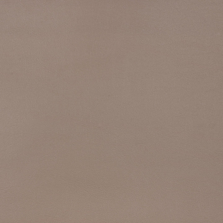 10200-0010 Capriccio Taupe by Sunbrella Designer Fabric Sunbrella Horizon Capriccio Marine Upholstery SunbrellaÂ® Engineered Leather USA or Imported 5-Year, 3-Year Microbial Pink Staining Horizontal: and Vertical: 54 in. - Swanky Fabrics -