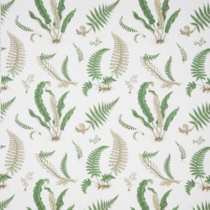 31032 1 by Lee Jofa Designer Fabric PERENNIA COTTON - 100% United Kingdom Horizontal: and Vertical: 24.822 53.978 - Swanky Fabrics -