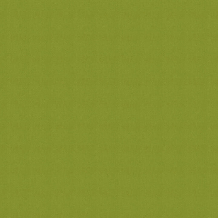 SJA 3738 137 Canvas Macao by Sunbrella Designer Fabric Sunbrella European Sunbrella® Acrylic, Sunbrella® Polyester USA or Imported 5-Year Horizontal: and Vertical: 54 in. - Swanky Fabrics -
