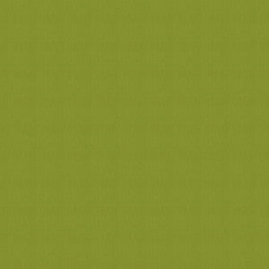 Sunbrella Fabric SJA 3738 137 Canvas Macao