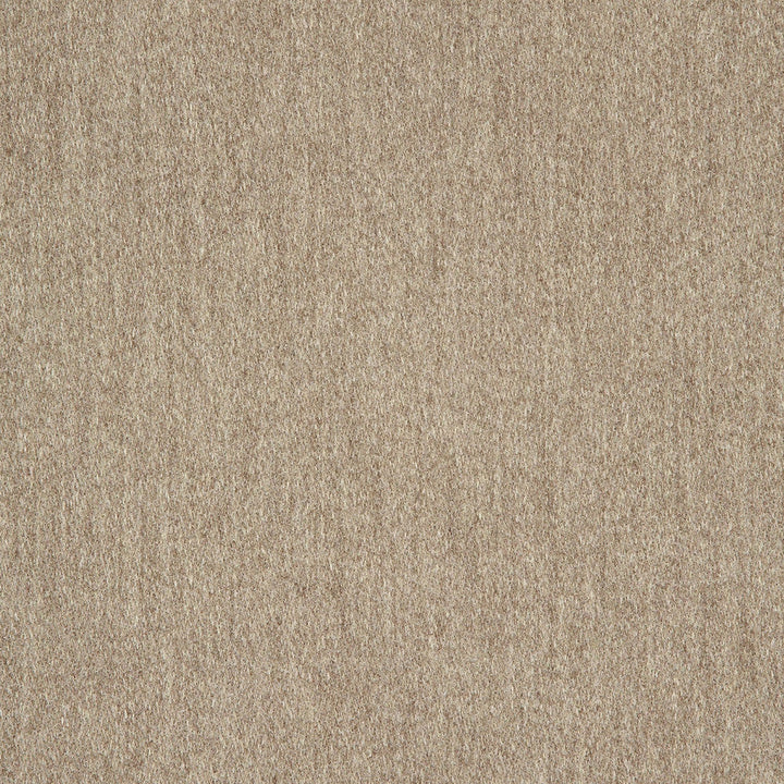 40501-0012 Pashmina Alpaca by Sunbrella Designer Fabric Sunbrella Fusion SunbrellaÂ® Acrylic, SunbrellaÂ® Polyester USA or Imported 5-Year Horizontal: and Vertical: 60 yd. 54 in. - Swanky Fabrics -