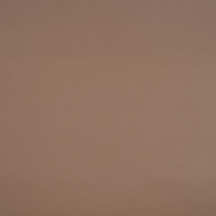 10200-0009 Capriccio Dune by Sunbrella Designer Fabric Sunbrella Horizon Capriccio Marine Upholstery Sunbrella® Engineered Leather USA or Imported 5-Year, 3-Year Microbial Pink Staining Horizontal: and Vertical: 54 in. - Swanky Fabrics -