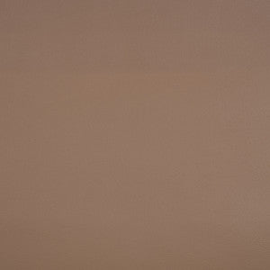 Sunbrella Fabric 10200-0009 Capriccio Dune