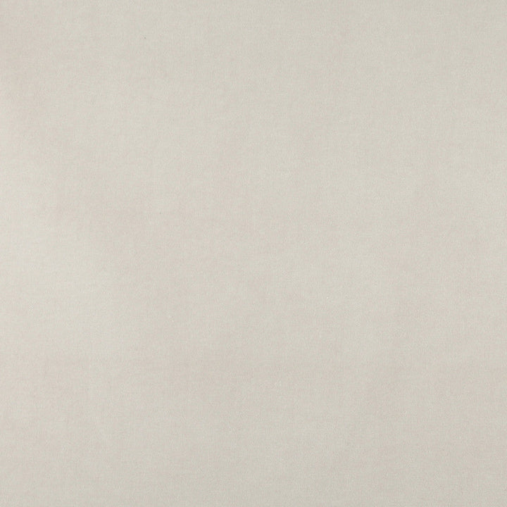10000-01 by Charlotte Designer Fabric Cotton Velvet 100% Cotton, Velvet Made In USA Exceeds 100,000 Wyzenbeek Rubs (Heavy Duty) No Repeat 54 Inches - Swanky Fabrics -
