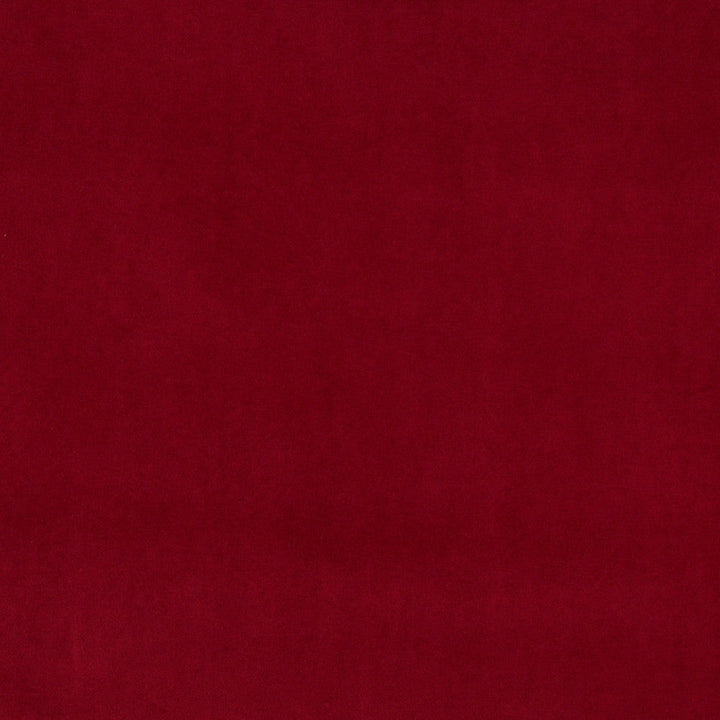 10000-02 by Charlotte Designer Fabric Cotton Velvet 100% Cotton Made In USA Exceeds 100,000 Wyzenbeek Rubs (Heavy Duty) </p><p>Repeat: No Repeat 54 Inches - Swanky Fabrics -