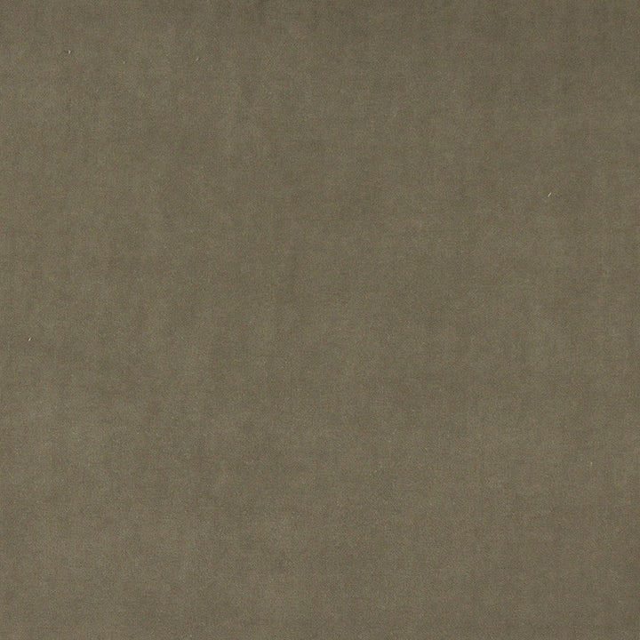 10000-04 by Charlotte Designer Fabric Cotton Velvet 100% Cotton, Velvet Made In USA Exceeds 100,000 Wyzenbeek Rubs (Heavy Duty) No Repeat 54 Inches - Swanky Fabrics -