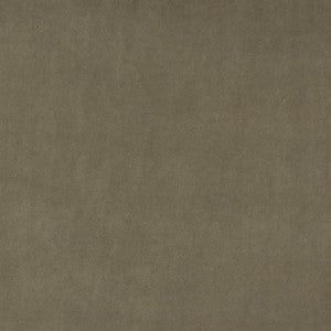 Charlotte Fabric 10000-04