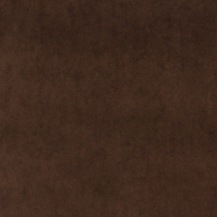 10000-05 by Charlotte Designer Fabric Cotton Velvet 100% Cotton, Velvet Made In USA Exceeds 100,000 Wyzenbeek Rubs (Heavy Duty) No Repeat 54 Inches - Swanky Fabrics -