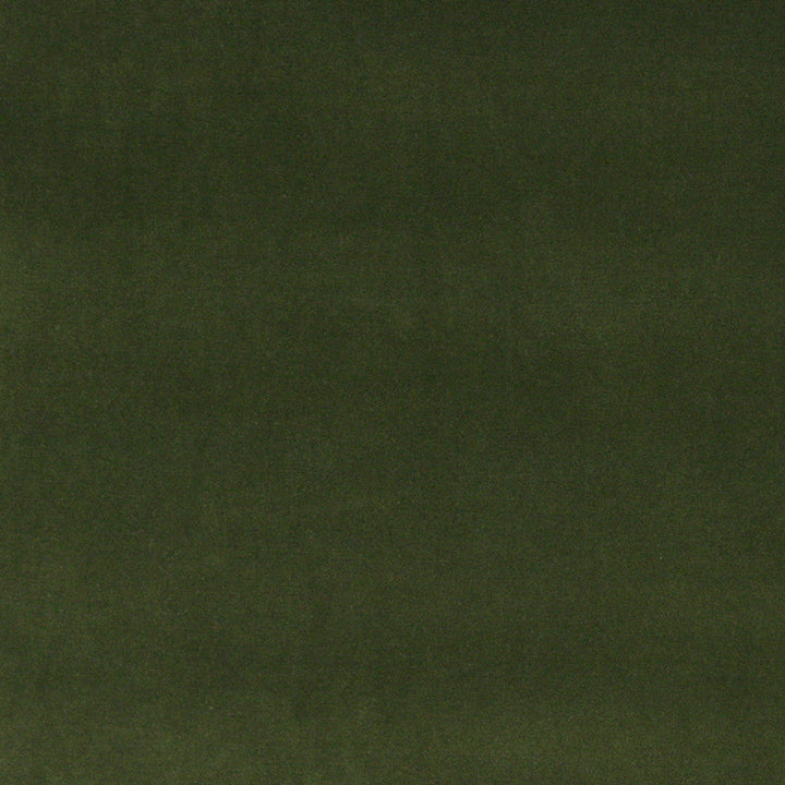 10000-07 by Charlotte Designer Fabric Cotton Velvet 100% Cotton Made In USA Exceeds 100,000 Wyzenbeek Rubs (Heavy Duty) </p><p>Repeat: No Repeat 54 Inches - Swanky Fabrics -