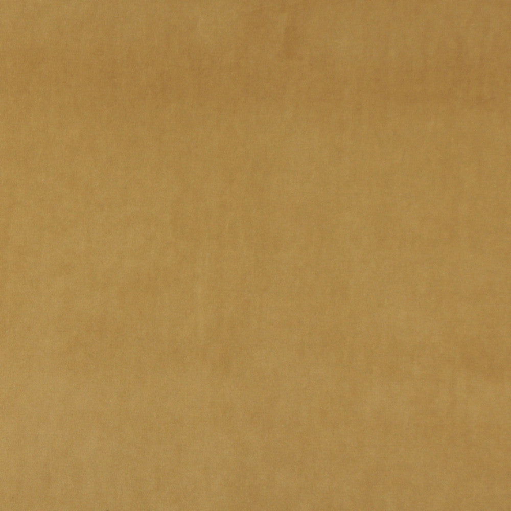 10000-08 by Charlotte Designer Fabric Cotton Velvet 100% Cotton, Velvet Made In USA Exceeds 100,000 Wyzenbeek Rubs (Heavy Duty) No Repeat 54 Inches - Swanky Fabrics -