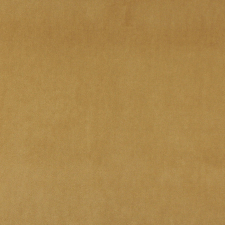 10000-08 by Charlotte Designer Fabric Cotton Velvet 100% Cotton, Velvet Made In USA Exceeds 100,000 Wyzenbeek Rubs (Heavy Duty) No Repeat 54 Inches - Swanky Fabrics -