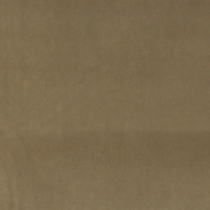 10000-10 by Charlotte Designer Fabric Cotton Velvet 100% Cotton Made In USA Exceeds 100,000 Wyzenbeek Rubs (Heavy Duty) </p><p>Repeat: 54 Inches - Swanky Fabrics -
