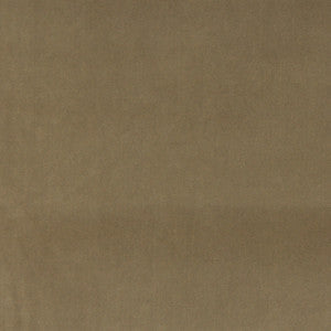 Charlotte Fabric 10000-10