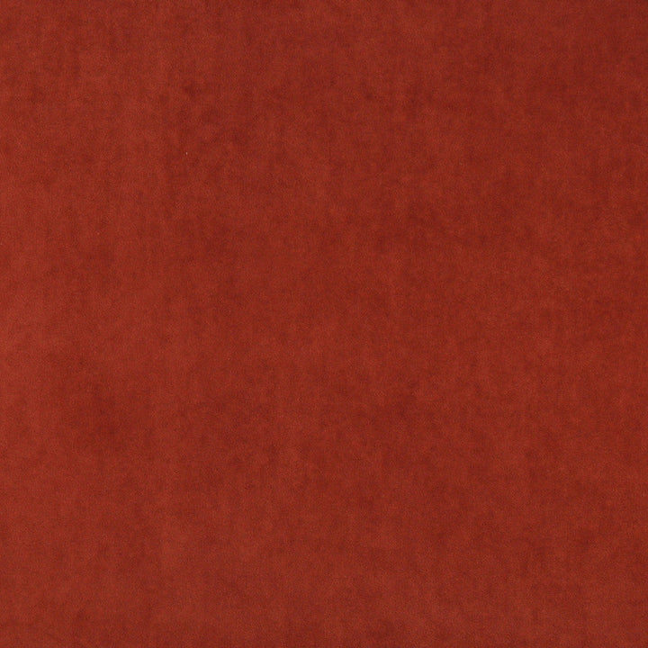 10000-11 by Charlotte Designer Fabric Cotton Velvet 100% Cotton, Velvet Made In USA Exceeds 100,000 Wyzenbeek Rubs (Heavy Duty) No Repeat 54 Inches - Swanky Fabrics -