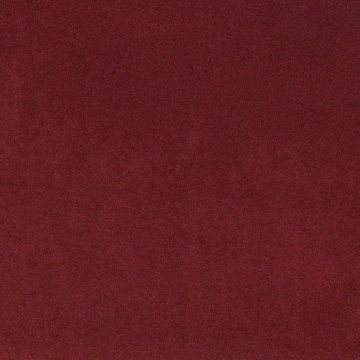 10000-14 by Charlotte Designer Fabric Cotton Velvet 100% Cotton Made In USA Exceeds 100,000 Wyzenbeek Rubs (Heavy Duty) </p><p>Repeat: No Repeat 54 Inches - Swanky Fabrics -