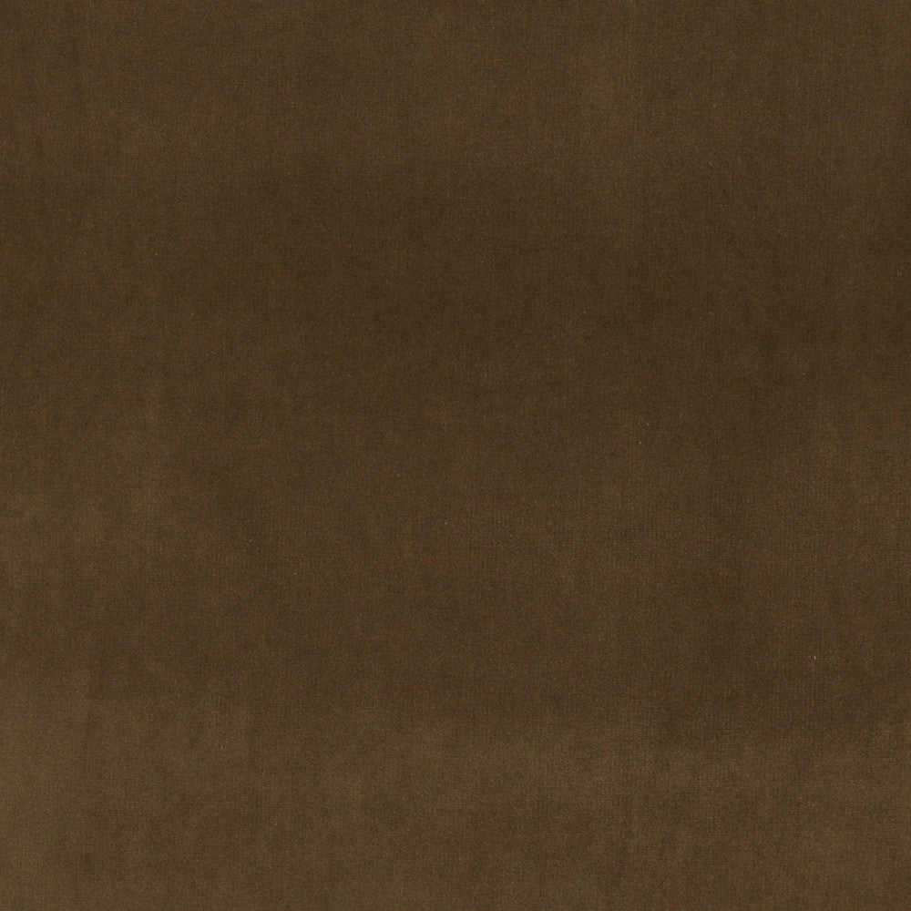 10000-15 by Charlotte Designer Fabric Cotton Velvet 100% Cotton, Velvet Made In USA Exceeds 100,000 Wyzenbeek Rubs (Heavy Duty) No Repeat 54 Inches - Swanky Fabrics -