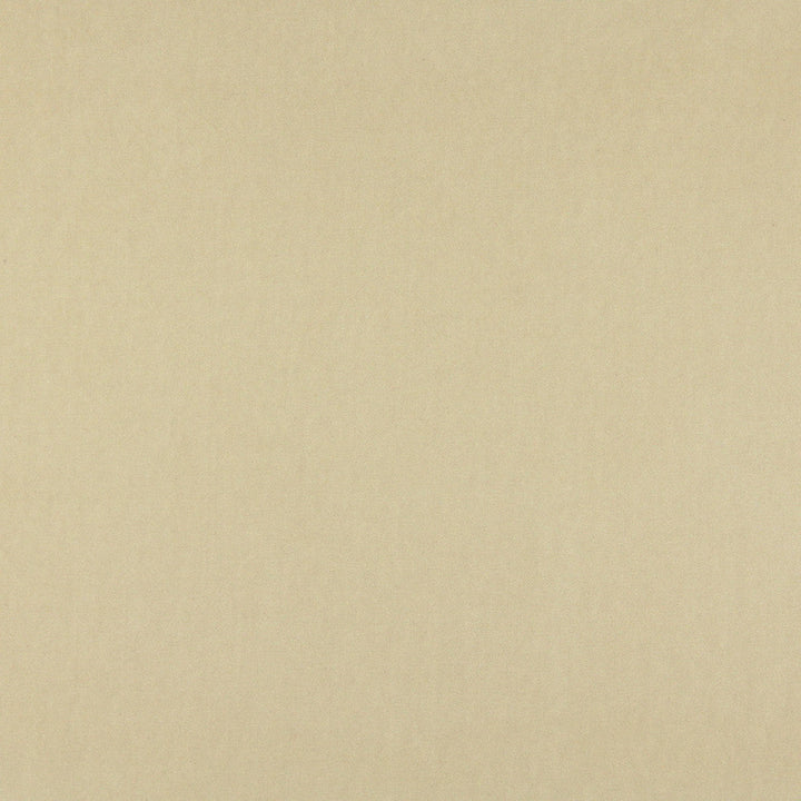 10000-16 by Charlotte Designer Fabric Cotton Velvet 100% Cotton Made In USA Exceeds 100,000 Wyzenbeek Rubs (Heavy Duty) </p><p>Repeat: 54 Inches - Swanky Fabrics -