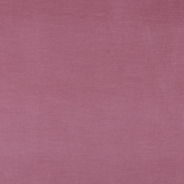 10001-02 by Charlotte Designer Fabric Cotton Velvet 100% Cotton Made In USA Exceeds 100,000 Wyzenbeek Rubs (Heavy Duty) </p><p>Repeat: 54 Inches - Swanky Fabrics -