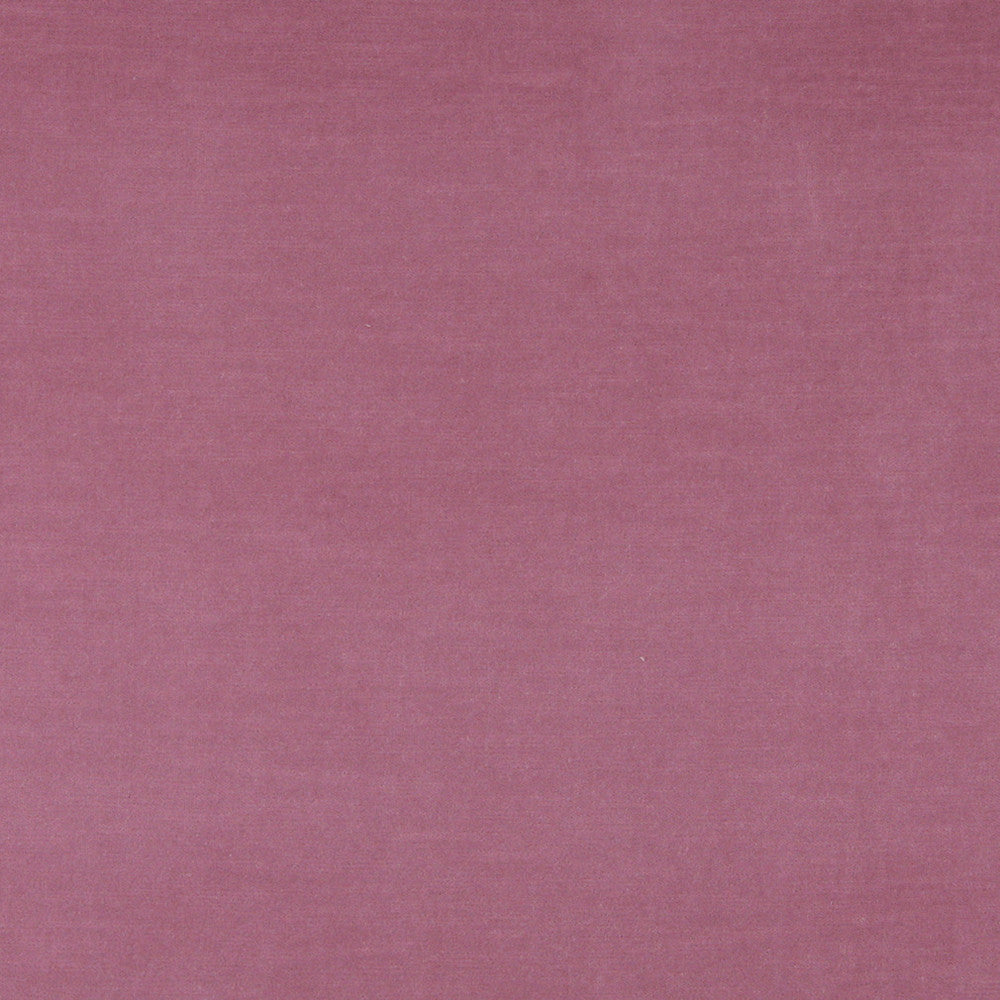 10001-02 by Charlotte Designer Fabric Cotton Velvet 100% Cotton Made In USA Exceeds 100,000 Wyzenbeek Rubs (Heavy Duty) </p><p>Repeat: No Repeat 54 Inches - Swanky Fabrics -