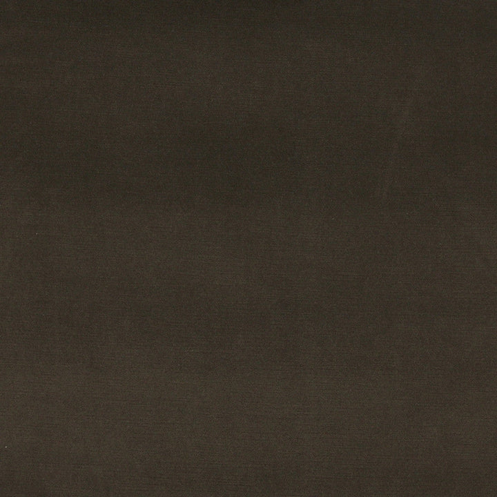 10001-03 by Charlotte Designer Fabric Cotton Velvet 100% Cotton, Velvet Made In USA Exceeds 100,000 Wyzenbeek Rubs (Heavy Duty) No Repeat 54 Inches - Swanky Fabrics -