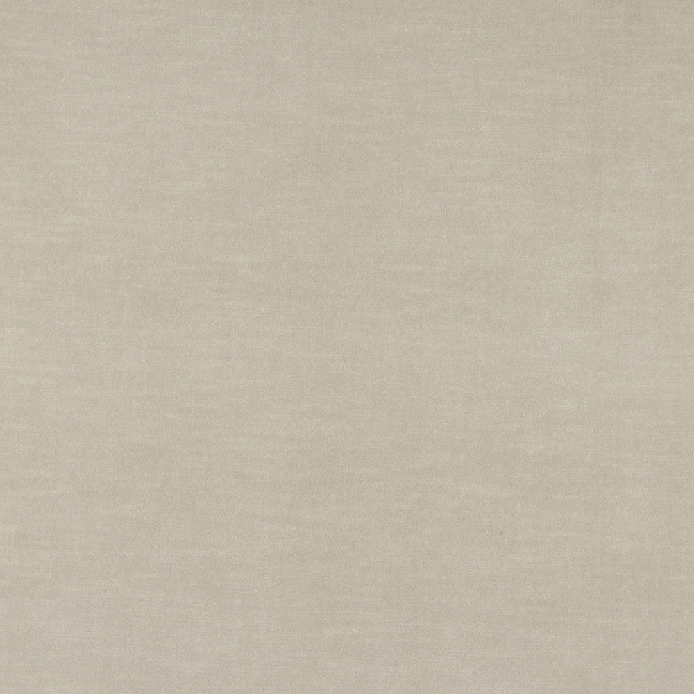 10001-04 by Charlotte Designer Fabric Cotton Velvet 100% Cotton, Velvet Made In USA Exceeds 100,000 Wyzenbeek Rubs (Heavy Duty) No Repeat 54 Inches - Swanky Fabrics -
