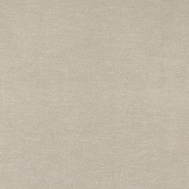10001-04 by Charlotte Designer Fabric Cotton Velvet 100% Cotton Made In USA Exceeds 100,000 Wyzenbeek Rubs (Heavy Duty) </p><p>Repeat: No Repeat 54 Inches - Swanky Fabrics -