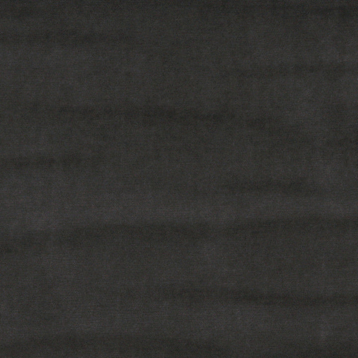 10001-06 by Charlotte Designer Fabric Cotton Velvet 100% Cotton, Velvet Made In USA Exceeds 100,000 Wyzenbeek Rubs (Heavy Duty) No Repeat 54 Inches - Swanky Fabrics -