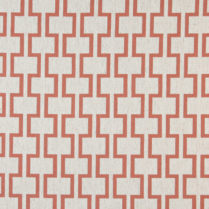 10002-03 by Charlotte Designer Fabric Vogue 60% Cotton, 30% Polyester, 10% Flax Made In USA Exceeds 200,000 Wyzenbeek Rubs (Heavy Duty) No Repeat 54 Inches - Swanky Fabrics -