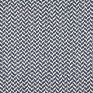 Charlotte Fabric 10004-05