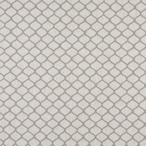 Charlotte Fabric 10005-06