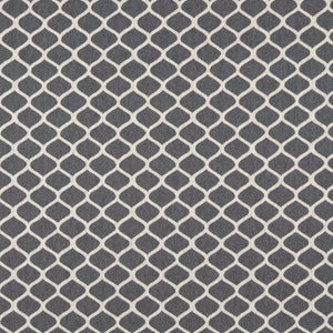 Charlotte Fabric 10008-02