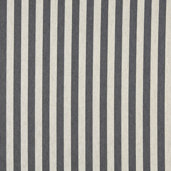 10009-02 by Charlotte Designer Fabric Vogue 60% Cotton, 30% Polyester, 10% Flax Made In USA Exceeds 200,000 Wyzenbeek Rubs (Heavy Duty) Horizontal: 1.5" 54 Inches - Swanky Fabrics -