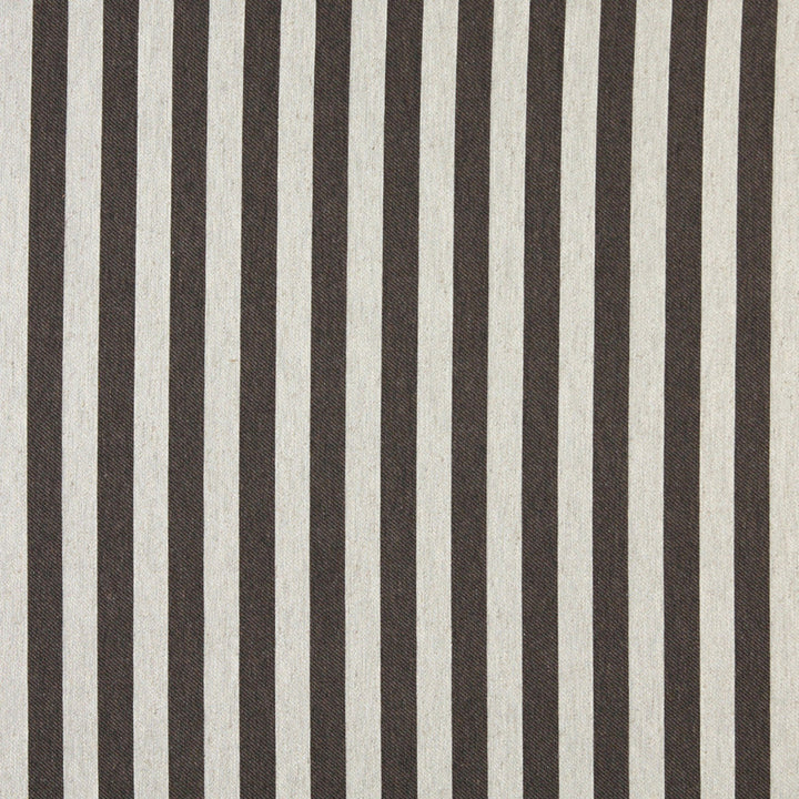 10009-04 by Charlotte Designer Fabric Vogue 60% Cotton, 30% Polyester, 10% Flax Made In USA Exceeds 200,000 Wyzenbeek Rubs (Heavy Duty) Horizontal: 1.5" 54 Inches - Swanky Fabrics -