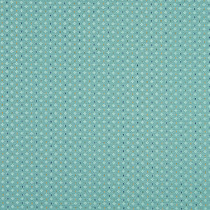 Charlotte Fabric 10050-07