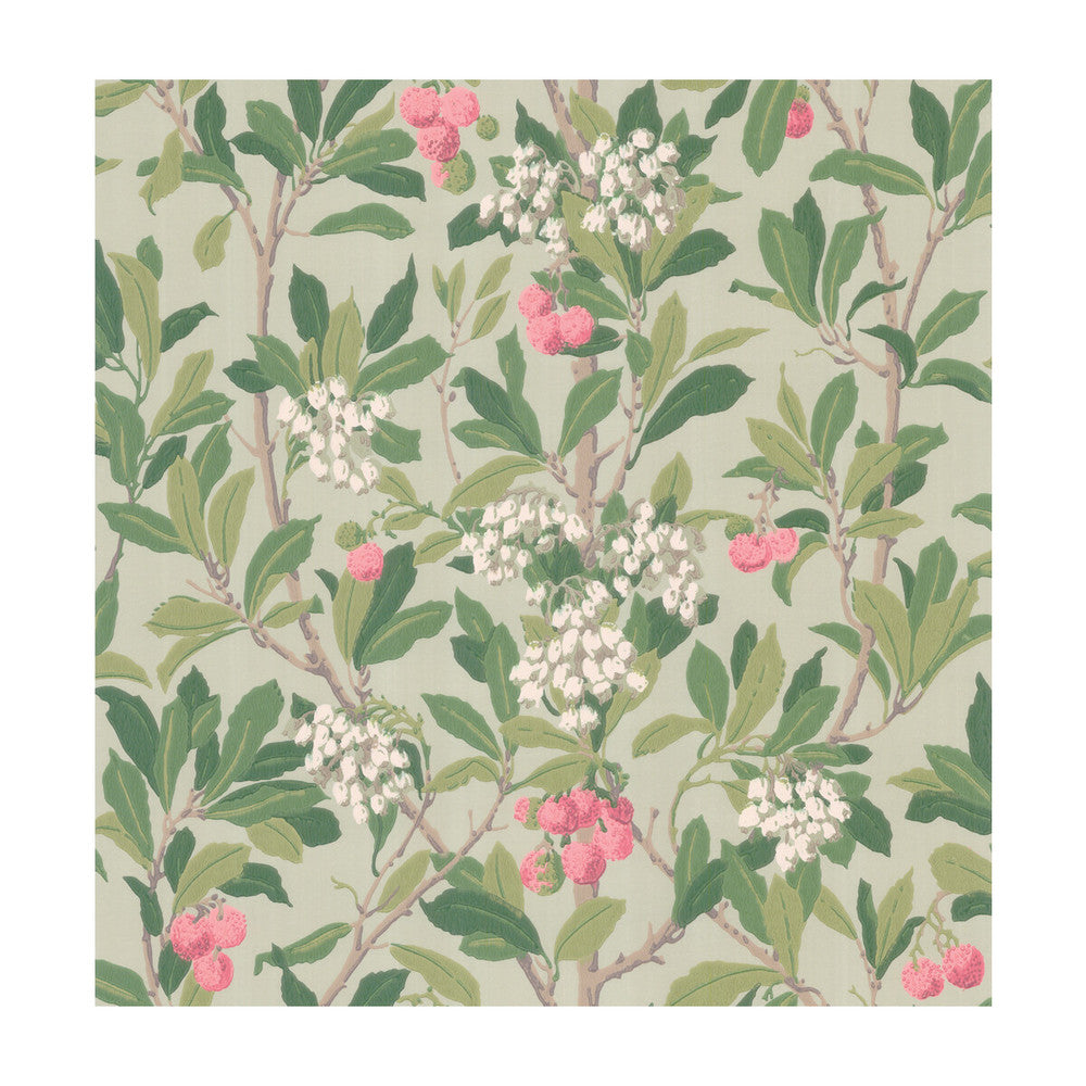 Strawberry Tree Pink & Duck Egg by Cole & Son Designer Wallcovering COLE & SON ARCHIVE ANTHOLOGY PAPER - 100% United Kingdom Horizontal: and Vertical: 21.1 20.5 - Swanky Fabrics -