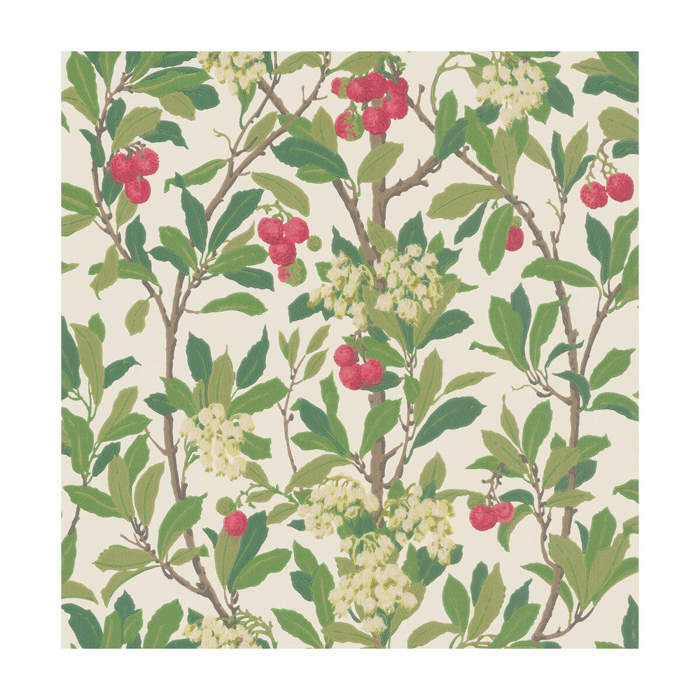 Strawberry Tree Scarlet & Ivory by Cole & Son Designer Wallcovering COLE & SON ARCHIVE ANTHOLOGY PAPER - 100% United Kingdom - Horizontal: - and Vertical: 21.1 20.5 - Swanky Fabrics -