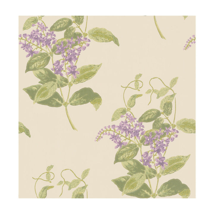 Madras Violet Olive & Lavender by Cole & Son Designer Wallcovering COLE & SON ARCHIVE ANTHOLOGY PAPER - 100% United Kingdom Horizontal: and Vertical: 21 20.5 - Swanky Fabrics -