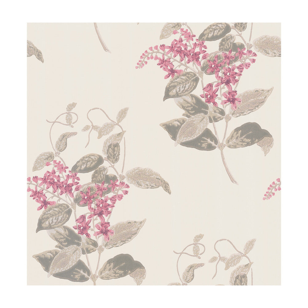 Madras Violet Pink by Cole & Son Wallcovering Cole & Son Wallcovering Madras Violet Pink Wallcovering COLE & SON ARCHIVE ANTHOLOGY PAPER - 100% United Kingdom </p><p>Repeat: H: , V: 21 20.5 - Fabric Carolina -