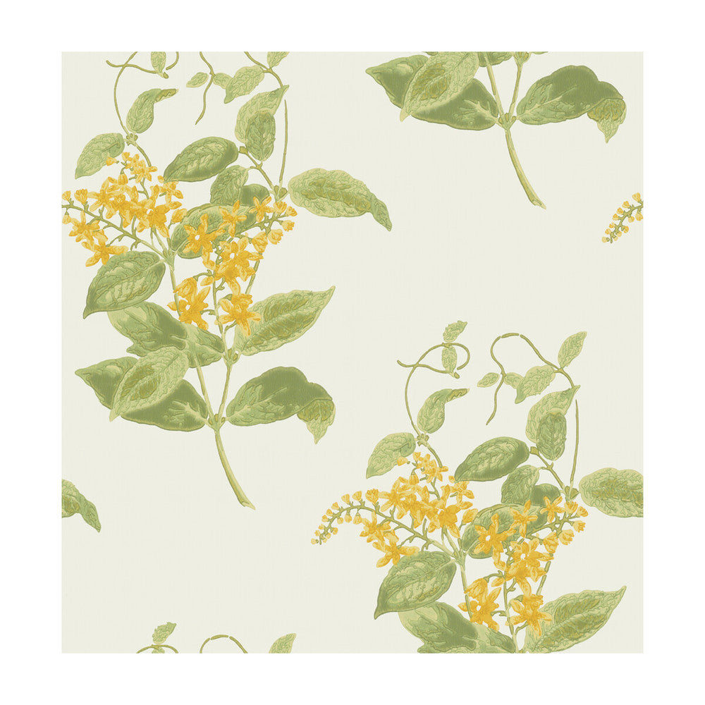 Madras Violet Yellow by Cole & Son Designer Wallcovering COLE & SON ARCHIVE ANTHOLOGY PAPER - 100% United Kingdom - Horizontal: - and Vertical: 21 20.5 - Swanky Fabrics -