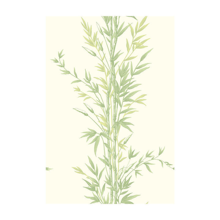 Bamboo Green by Cole & Son Designer Wallcovering COLE & SON ARCHIVE ANTHOLOGY PAPER - 100% United Kingdom Horizontal: and Vertical: 30 20.5 - Swanky Fabrics -