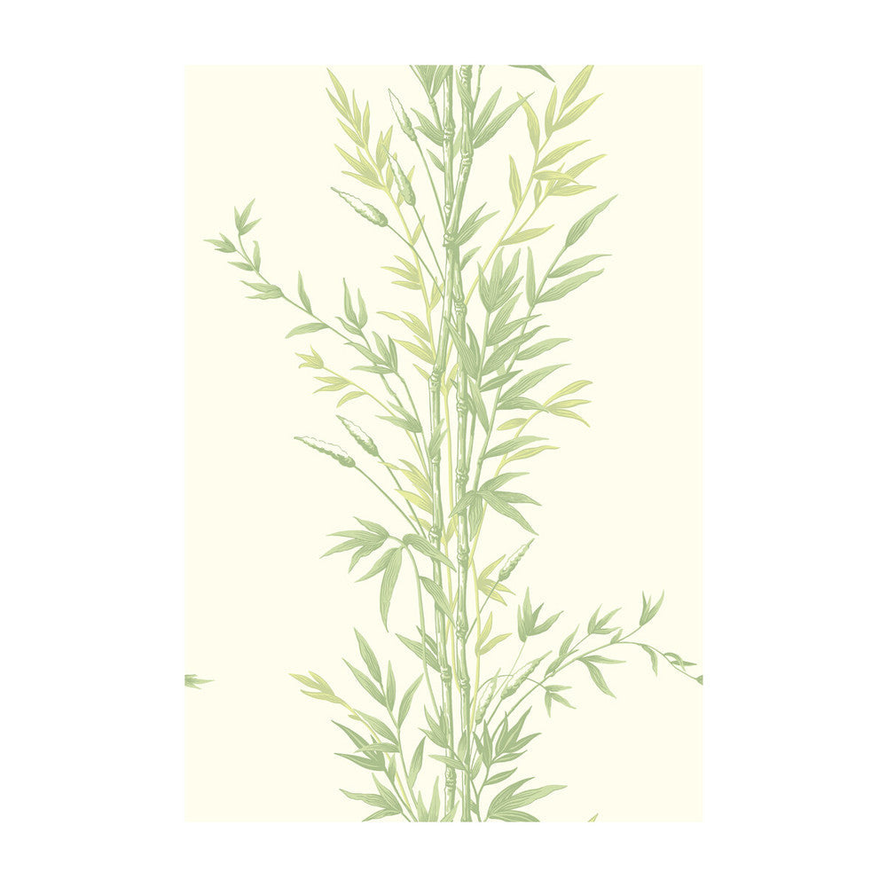 Bamboo Green by Cole & Son Designer Wallcovering COLE & SON ARCHIVE ANTHOLOGY PAPER - 100% United Kingdom Horizontal: and Vertical: 30 20.5 - Swanky Fabrics -