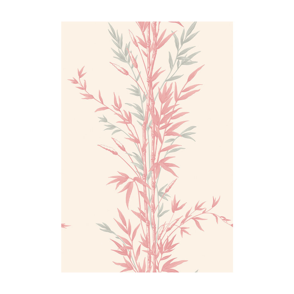 Bamboo Pink by Cole & Son Designer Wallcovering COLE & SON ARCHIVE ANTHOLOGY PAPER - 100% United Kingdom - Horizontal: - and Vertical: 30 20.5 - Swanky Fabrics -