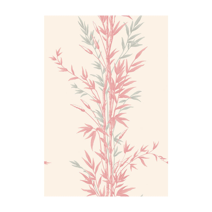 Bamboo Pink by Cole & Son Designer Wallcovering COLE & SON ARCHIVE ANTHOLOGY PAPER - 100% United Kingdom - Horizontal: - and Vertical: 30 20.5 - Swanky Fabrics -