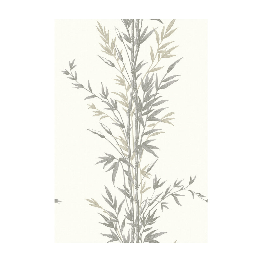 Bamboo Charcoal by Cole & Son Designer Wallcovering COLE & SON ARCHIVE ANTHOLOGY PAPER - 100% United Kingdom - Horizontal: - and Vertical: 30 20.5 - Swanky Fabrics -