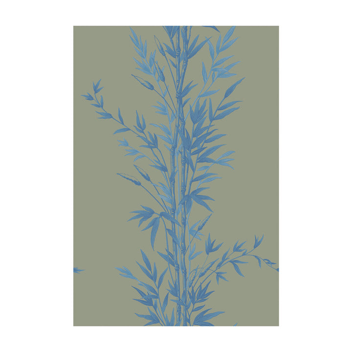 Bamboo Blue On Khaki by Cole & Son Designer Wallcovering COLE & SON ARCHIVE ANTHOLOGY PAPER - 100% United Kingdom - Horizontal: - and Vertical: 30 20.5 - Swanky Fabrics -