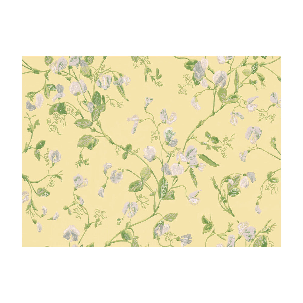 Sweet Pea Yellow by Cole & Son Wallcovering Cole & Son Wallcovering Sweet Pea YellowWallcovering COLE & SON ARCHIVE ANTHOLOGY PAPER - 100% United Kingdom </p><p>Repeat: H: , V: 15 20.5 - Fabric Carolina -