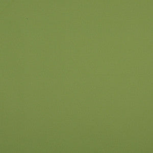 Charlotte Fabric 10104-06